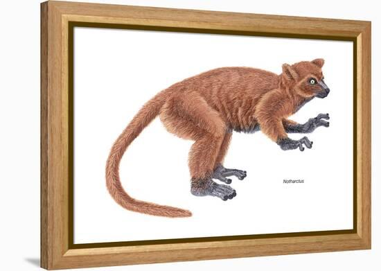 Notharctus, Extinct Lemur, Mammals-Encyclopaedia Britannica-Framed Stretched Canvas