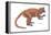 Notharctus, Extinct Lemur, Mammals-Encyclopaedia Britannica-Framed Stretched Canvas