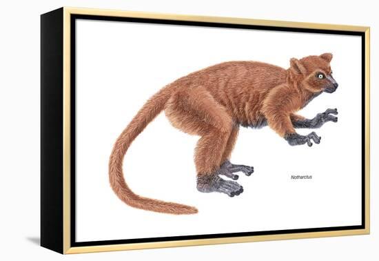 Notharctus, Extinct Lemur, Mammals-Encyclopaedia Britannica-Framed Stretched Canvas