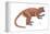 Notharctus, Extinct Lemur, Mammals-Encyclopaedia Britannica-Framed Stretched Canvas