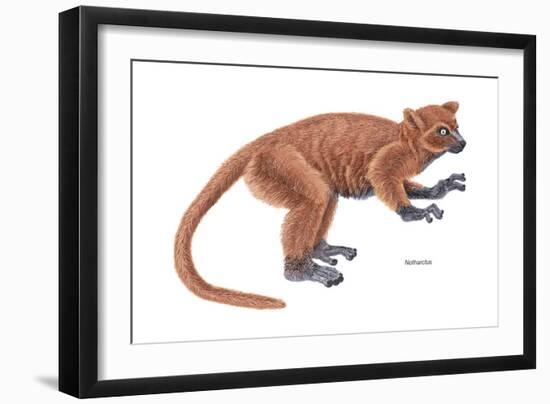 Notharctus, Extinct Lemur, Mammals-Encyclopaedia Britannica-Framed Art Print