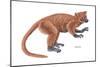 Notharctus, Extinct Lemur, Mammals-Encyclopaedia Britannica-Mounted Art Print