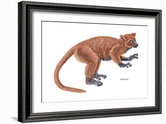 Notharctus, Extinct Lemur, Mammals-Encyclopaedia Britannica-Framed Art Print