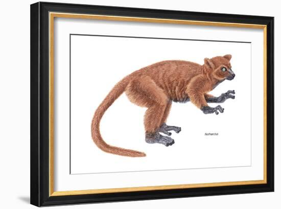 Notharctus, Extinct Lemur, Mammals-Encyclopaedia Britannica-Framed Art Print