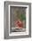 Nothern Cardinal-Gary Carter-Framed Photographic Print