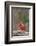 Nothern Cardinal-Gary Carter-Framed Photographic Print