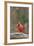 Nothern Cardinal-Gary Carter-Framed Photographic Print