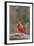 Nothern Cardinal-Gary Carter-Framed Photographic Print