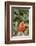 Nothern Cardinal-Gary Carter-Framed Photographic Print