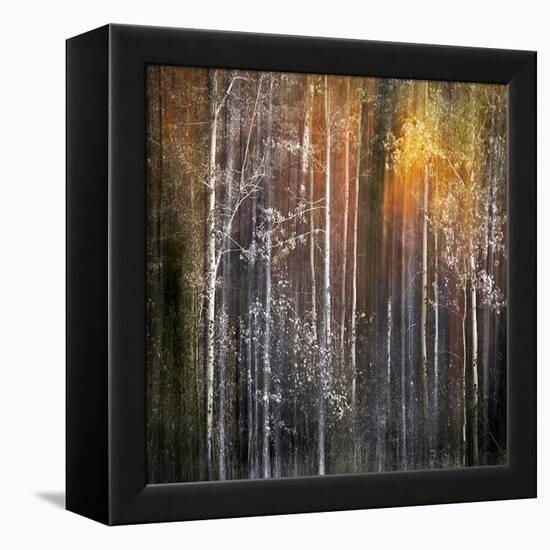 Nothing Gold Can Stay-Ursula Abresch-Framed Premier Image Canvas