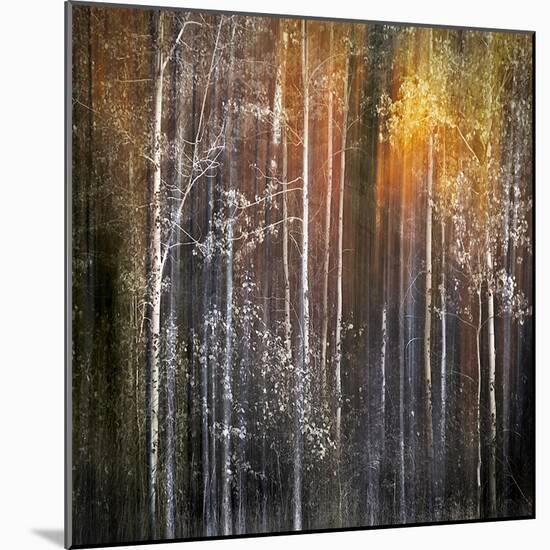 Nothing Gold Can Stay-Ursula Abresch-Mounted Premium Photographic Print