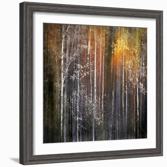 Nothing Gold Can Stay-Ursula Abresch-Framed Photographic Print