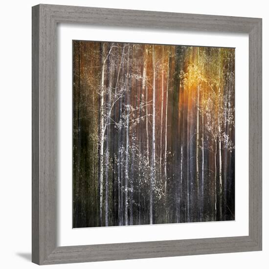 Nothing Gold Can Stay-Ursula Abresch-Framed Photographic Print