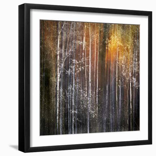 Nothing Gold Can Stay-Ursula Abresch-Framed Photographic Print