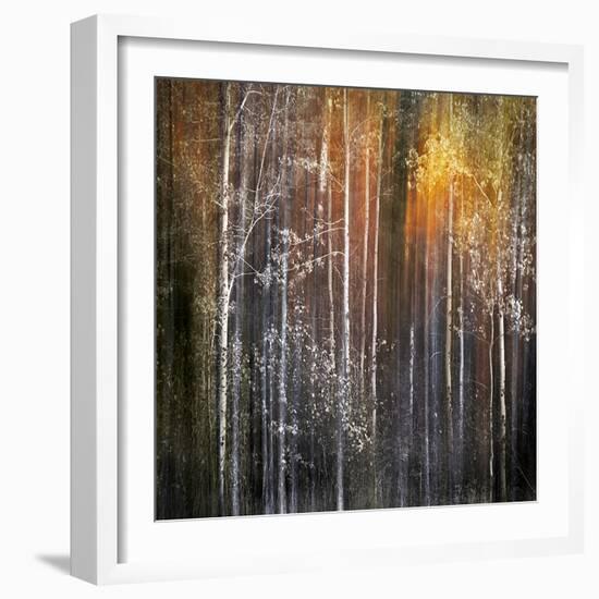 Nothing Gold Can Stay-Ursula Abresch-Framed Photographic Print