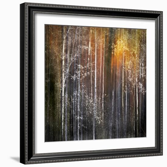 Nothing Gold Can Stay-Ursula Abresch-Framed Photographic Print