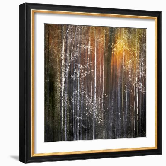 Nothing Gold Can Stay-Ursula Abresch-Framed Photographic Print