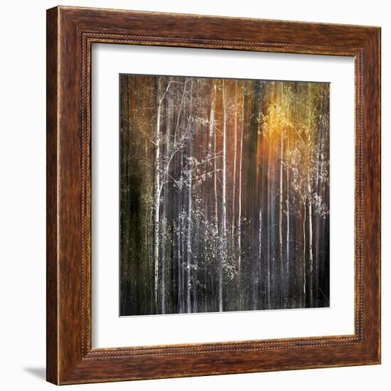 Nothing Gold Can Stay-Ursula Abresch-Framed Premium Photographic Print