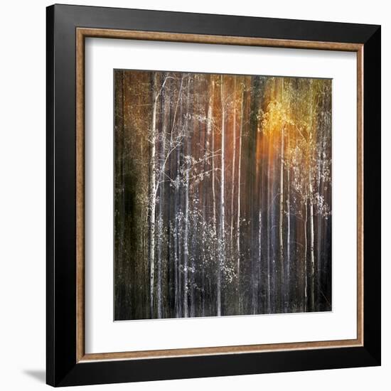 Nothing Gold Can Stay-Ursula Abresch-Framed Premium Photographic Print