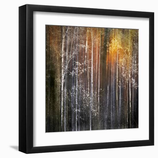 Nothing Gold Can Stay-Ursula Abresch-Framed Premium Photographic Print
