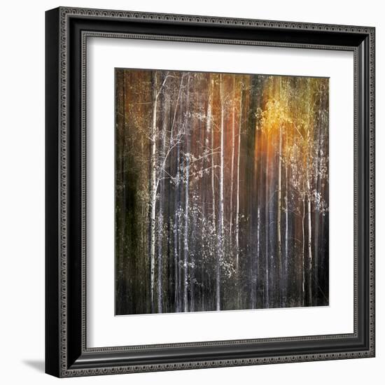 Nothing Gold Can Stay-Ursula Abresch-Framed Premium Photographic Print