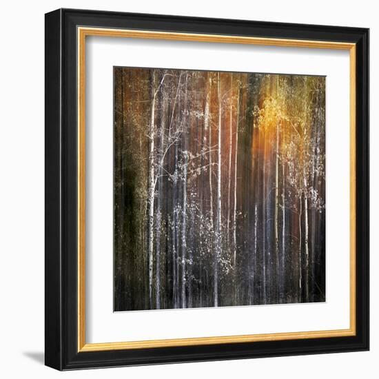 Nothing Gold Can Stay-Ursula Abresch-Framed Premium Photographic Print