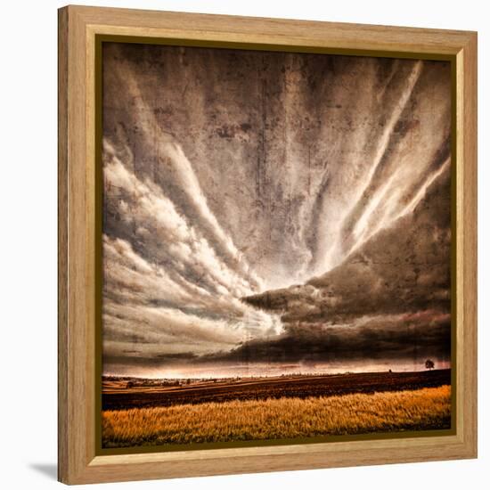 Nothing to Fear-Philippe Sainte-Laudy-Framed Premier Image Canvas