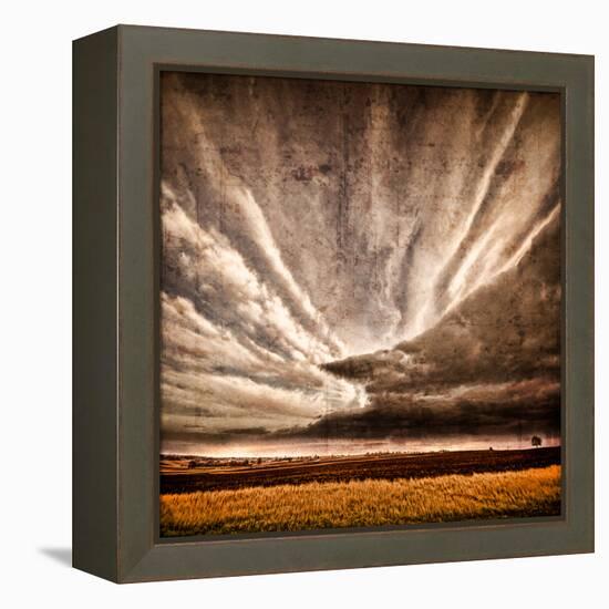 Nothing to Fear-Philippe Sainte-Laudy-Framed Premier Image Canvas