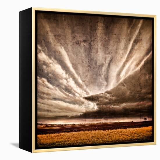 Nothing to Fear-Philippe Sainte-Laudy-Framed Premier Image Canvas