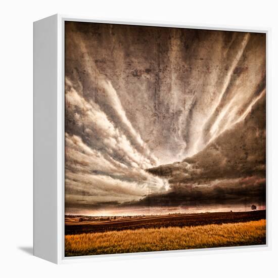 Nothing to Fear-Philippe Sainte-Laudy-Framed Premier Image Canvas