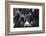 Notre Dame, 2004-John Gusky-Framed Photographic Print