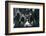 Notre Dame, 2004-John Gusky-Framed Photographic Print