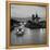 Notre Dame Cathedral and River Seine, Paris, France-Jon Arnold-Framed Premier Image Canvas