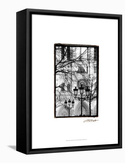 Notre Dame Cathedral II-Laura Denardo-Framed Stretched Canvas