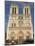 Notre Dame Cathedral, Ile De La Cite, Paris, France-Sergio Pitamitz-Mounted Photographic Print