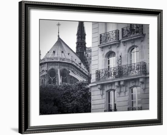 Notre Dame Cathedral, Ile De La Cite, Paris, France-Jon Arnold-Framed Photographic Print