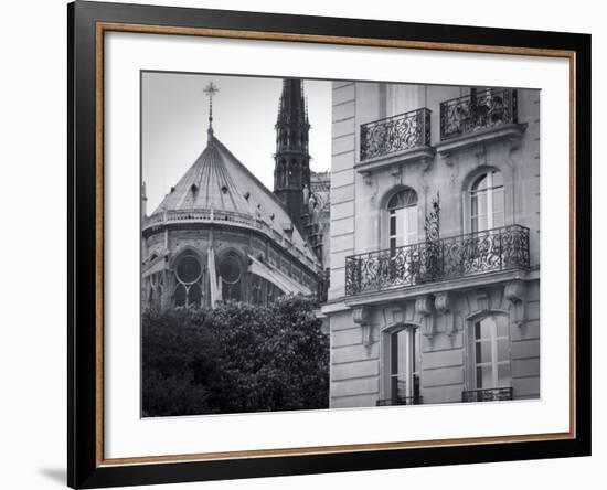 Notre Dame Cathedral, Ile De La Cite, Paris, France-Jon Arnold-Framed Photographic Print