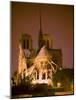 Notre Dame Cathedral Lit at Night, Paris, France-Jim Zuckerman-Mounted Photographic Print