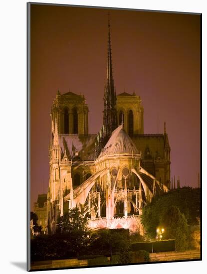 Notre Dame Cathedral Lit at Night, Paris, France-Jim Zuckerman-Mounted Photographic Print