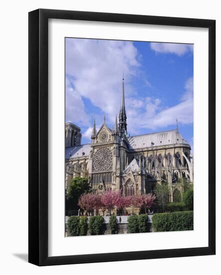 Notre Dame Cathedral, Paris, France, Europe-Roy Rainford-Framed Photographic Print