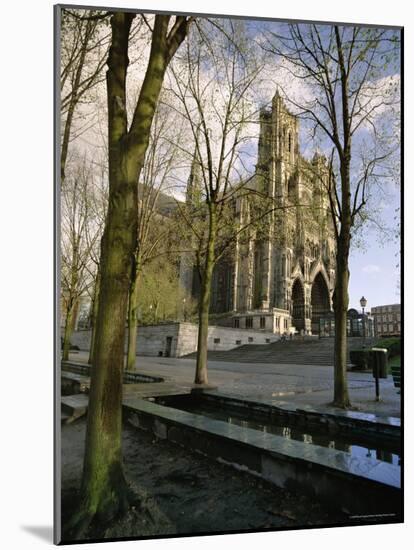 Notre Dame, Christian Cathedral, Amiens, Picardy, France, Europe-David Hughes-Mounted Photographic Print