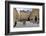 Notre Dame Church (Eglise Notre Dame), Bordeaux, UNESCO Site, Gironde, Aquitaine, France-Peter Richardson-Framed Photographic Print