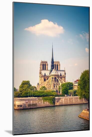 Notre Dame De Paris, France-sborisov-Mounted Art Print