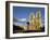 Notre Dame De Paris, Ile De La Cite, Paris, France-Peter Scholey-Framed Photographic Print