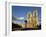 Notre Dame De Paris, Ile De La Cite, Paris, France-Peter Scholey-Framed Photographic Print