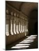 Notre-Dame De Senanque Abbey Cloister, Gordes, Vaucluse, France, Europe-Godong-Mounted Photographic Print