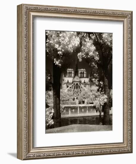 Notre Dame, Paris, France-Jon Arnold-Framed Photographic Print