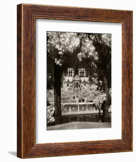 Notre Dame, Paris, France-Jon Arnold-Framed Photographic Print