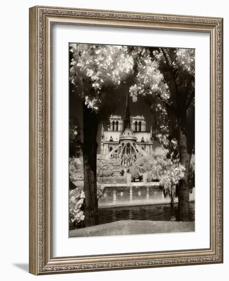 Notre Dame, Paris, France-Jon Arnold-Framed Photographic Print