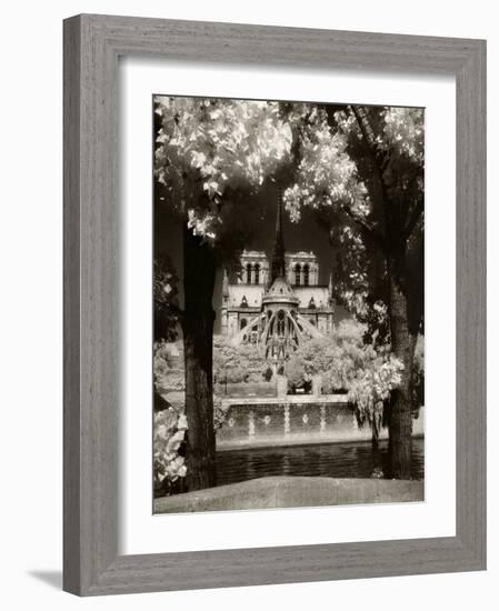 Notre Dame, Paris, France-Jon Arnold-Framed Photographic Print